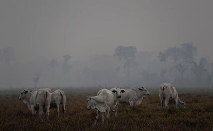 Días sin sol y problemas respiratorios, así se vive por los incendios en la Amazonia