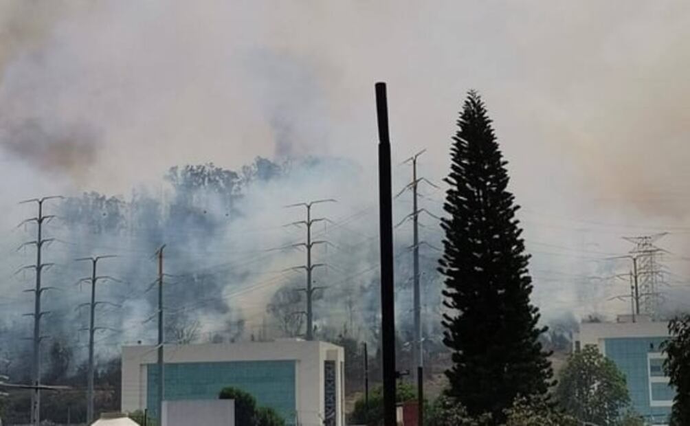 Se reaviva incendio en el Cerro de Moctezuma; fauna y flora endémica están en riesgo 