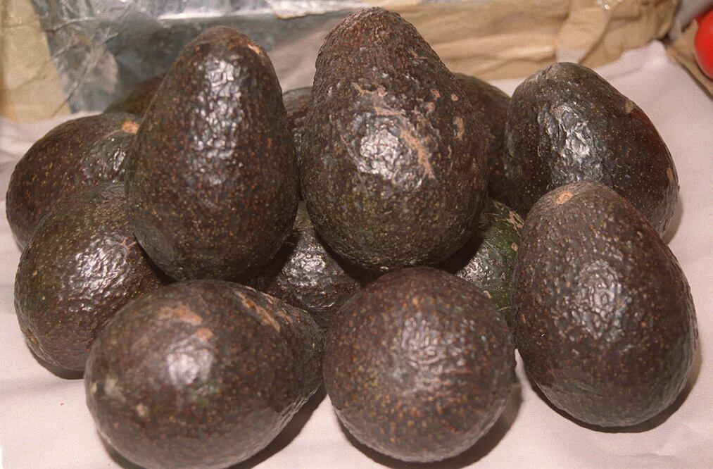 Foto: Archivo / EL UNIVERSAL.