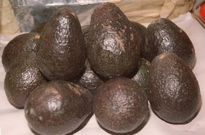 Hallan casi una tonelada de cocaína entre aguacates