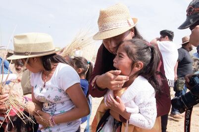 ...y en Querétaro, un ataque de abejas acabó con el calvario