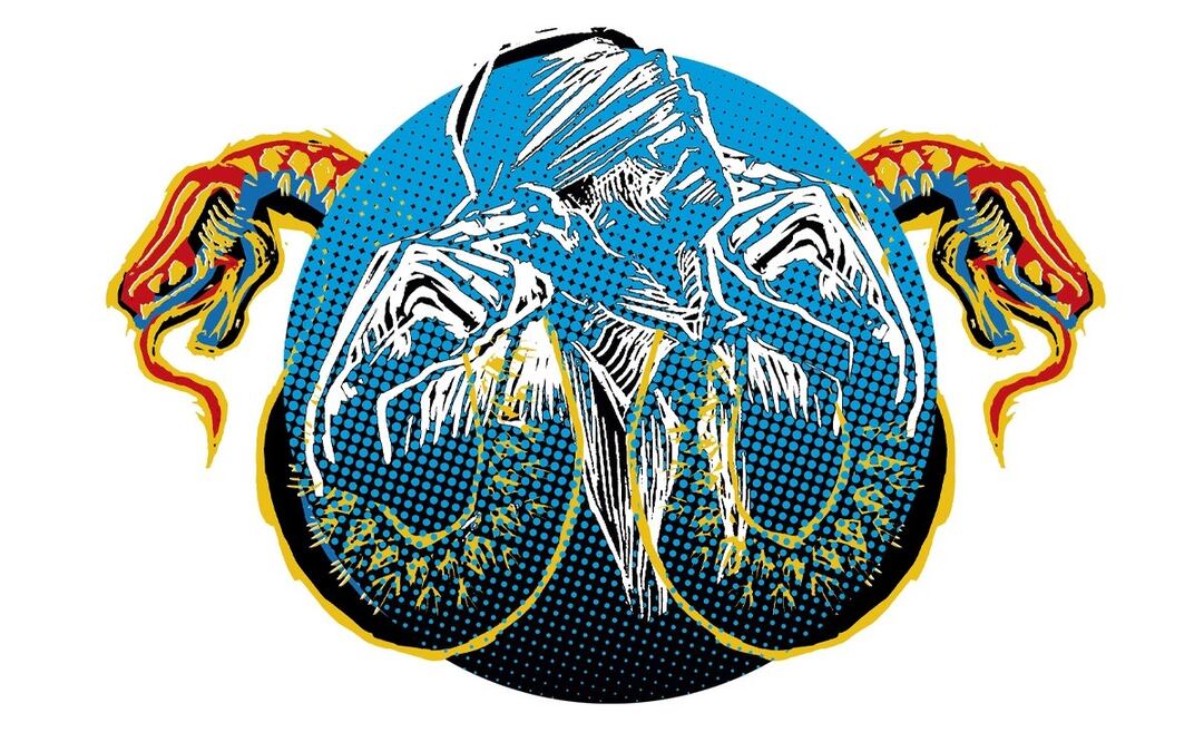 Viñeta de García Soto