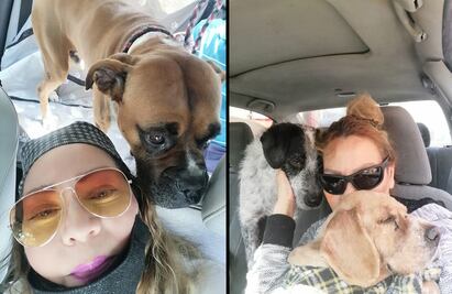 ¡Iba a salvar a un canino! Desaparece rescatista de perros en Ecatepec