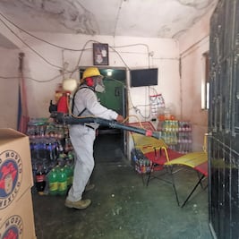 Emiten aviso epidemiológico por dengue en Jalisco