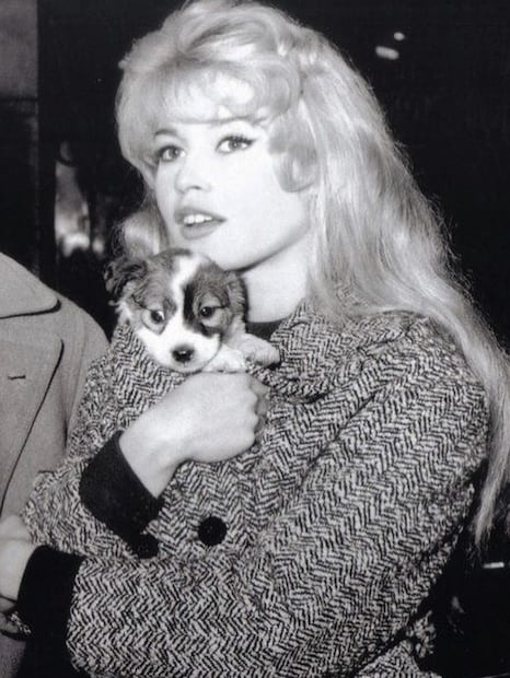 La cantante había decidido abandonar su carrera para dedicar su vida a la defensa de los animales. Foto: Instagram @brigittebardotbb