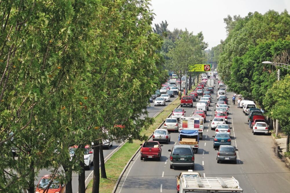 A lo largo de 20 kilómetros de la ruta —que unirá el Centro con la zona sur— también se avaló que se hagan 33 trasplantes y siete podas de árboles. (LUIS CORTÉS. EL UNIVERSAL)