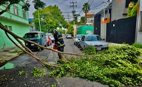 Fuertes lluvias dejan árboles caídos, cortocircuitos y encharcamientos en CDMX; autoridades piden extremar precauciones