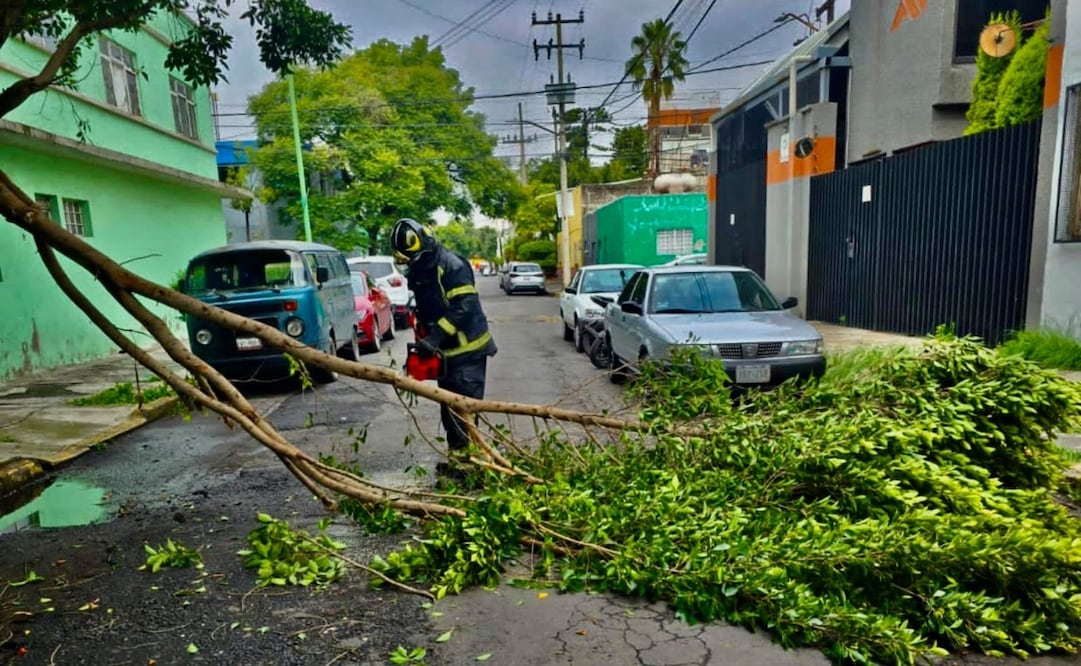 Caída de árboles y postes por fuertes lluvias en CDMX. Foto: Especial