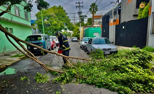 Fuertes lluvias dejan árboles caídos, cortocircuitos y encharcamientos en CDMX; autoridades piden extremar precauciones