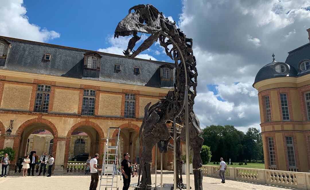 Trabajadores montan el esqueleto de un Apatosaurio en el castillo de Dampierre en Dampierre-en-Yvelines, Francia. FOTO: EFE