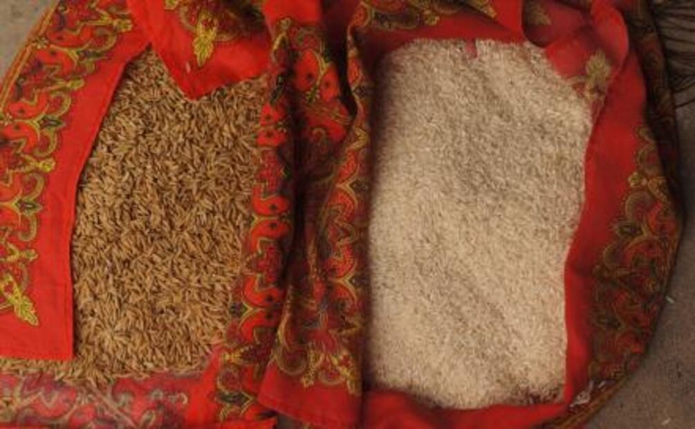 Después del temblor, Jojutla se levanta a través del arroz