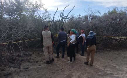Hallan restos humanos en fosas clandestinas en Sinaloa; dos osamentas portaban esposas en una mano