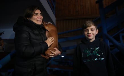 “A mi bebé no la dejo”, dice mexicana al huir en caravana de Ucrania con su perrita “Ramona”