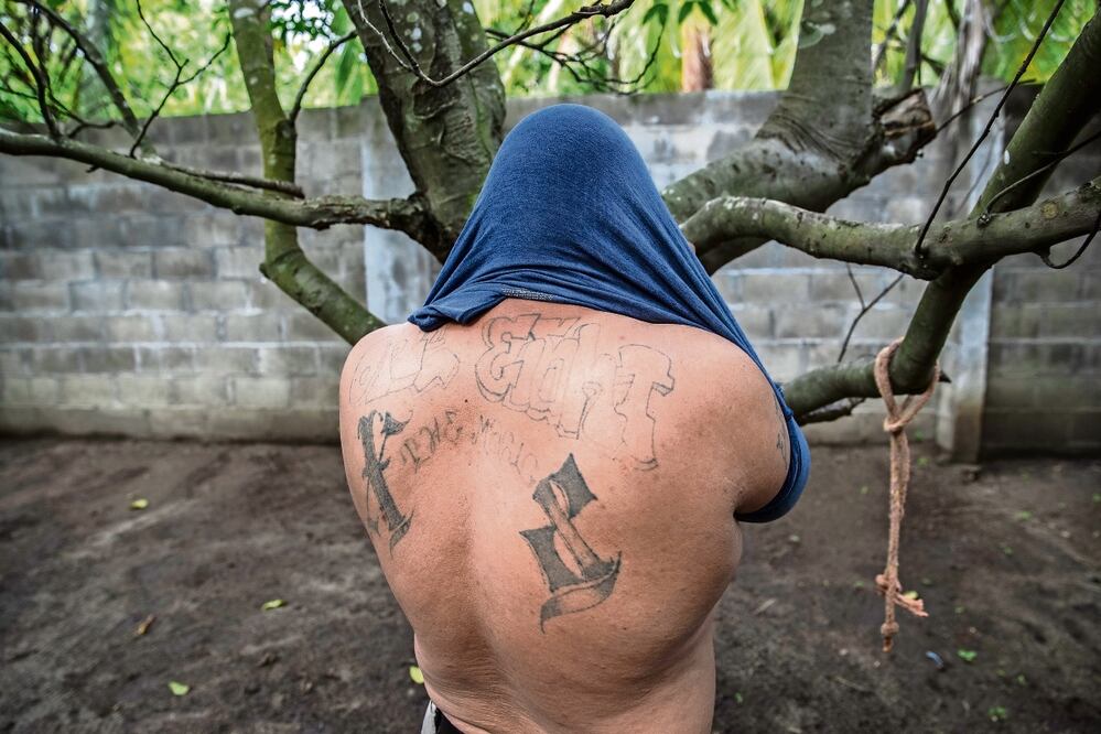 La Mara Salvatrucha opera en los municipios de Tapachula, Palenque, Cacahoatán, Mapastepec, Arriaga, Tuxtla Chico, Frontera Hidalgo y Metapa, señalan. Foto: Archivo / EL UNIVERSAL