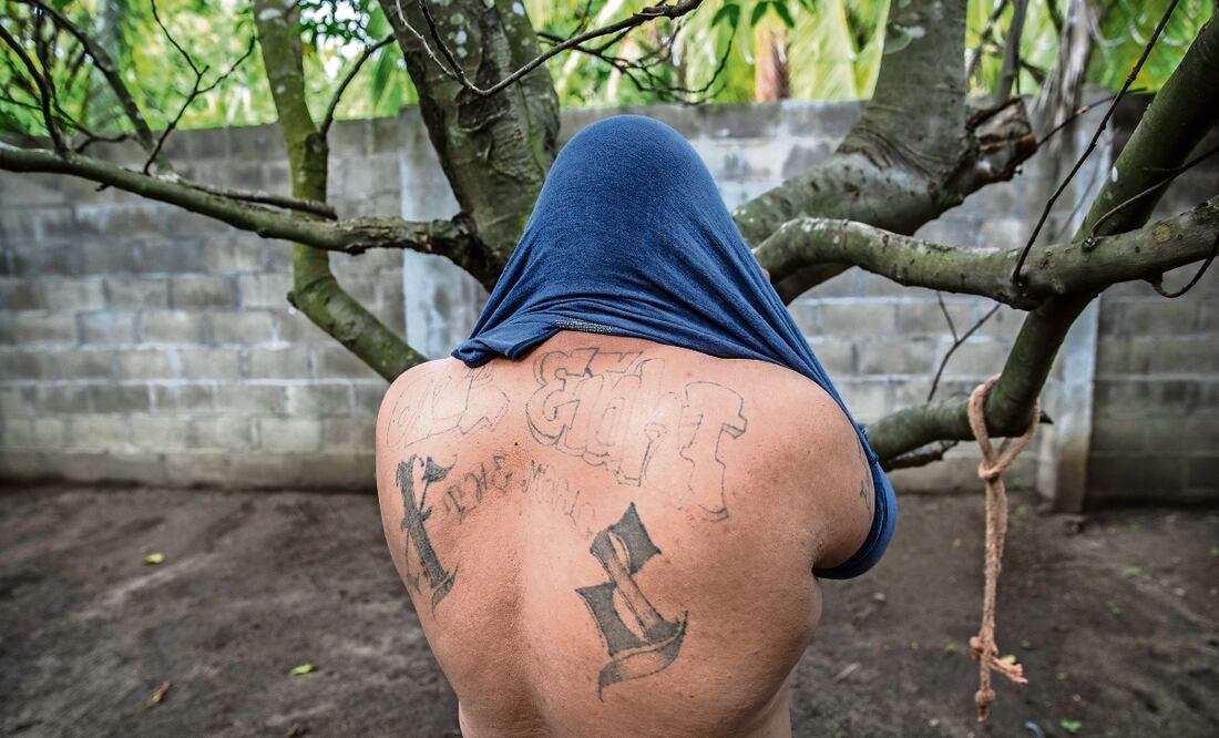 La Mara Salvatrucha opera en los municipios de Tapachula, Palenque, Cacahoatán, Mapastepec, Arriaga, Tuxtla Chico, Frontera Hidalgo y Metapa, señalan. Foto: Archivo / EL UNIVERSAL