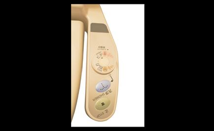 Así es la experiencia de ir al baño en Japón