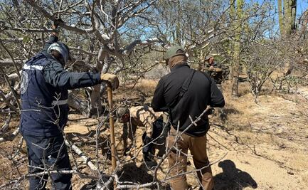Recuperan seis cuerpos de fosas clandestinas localizadas en Comondú, BCS; hallan otra osamenta en La Paz  