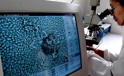 Espermatozoides nadan más rápido sobre una superficie