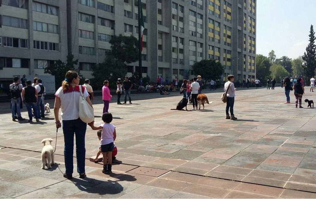 Un simulacro es el ensayo o práctica de las distintas acciones que se debe hacer ante una emergencia. Foto: Carlos Mejía. EL UNIVERSAL