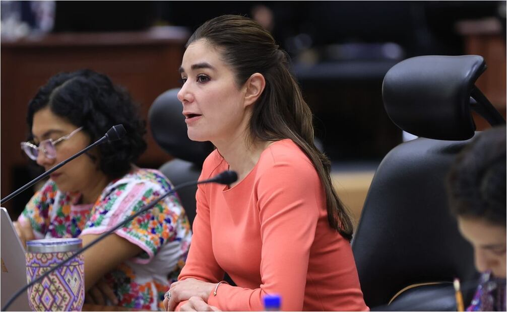 Dania Ravel, Consejera del INE. Foto: Fernanda Rojas/EL UNIVERSAL