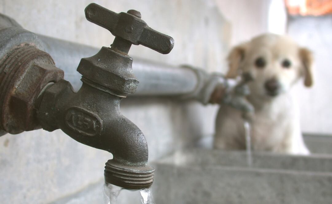 La escasez de agua es un problema frecuente en la demarcación. Foto: Archivo