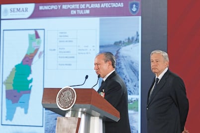 Avanza combate contra el sargazo