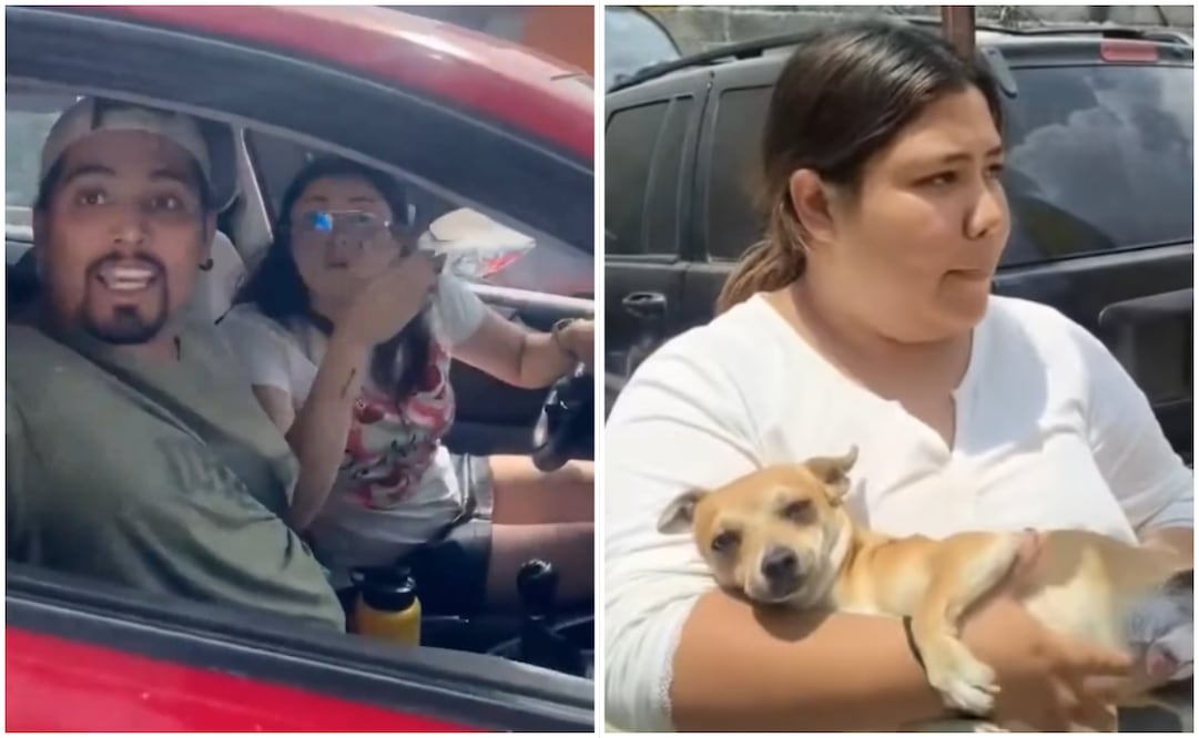 VIDEO: mujer denuncia presunta estafa con el atropello de un perro; dueña del animal desmiente acusación.. Foto: Captura de pantalla / Redes Sociales