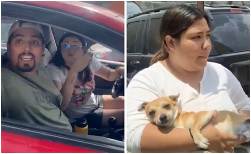 Woman Denounces Alleged Dog Hit-and-Run Scam; Owner Denies Accusation