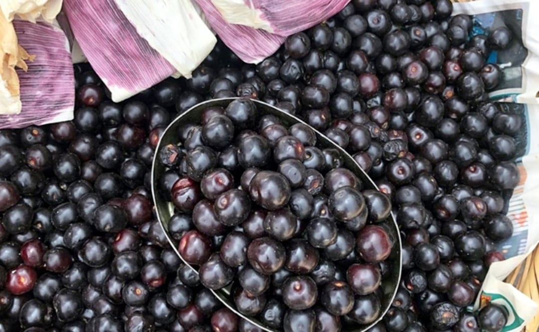 Capulines are a kind of cherry - Photo: File photo/EL UNIVERSAL