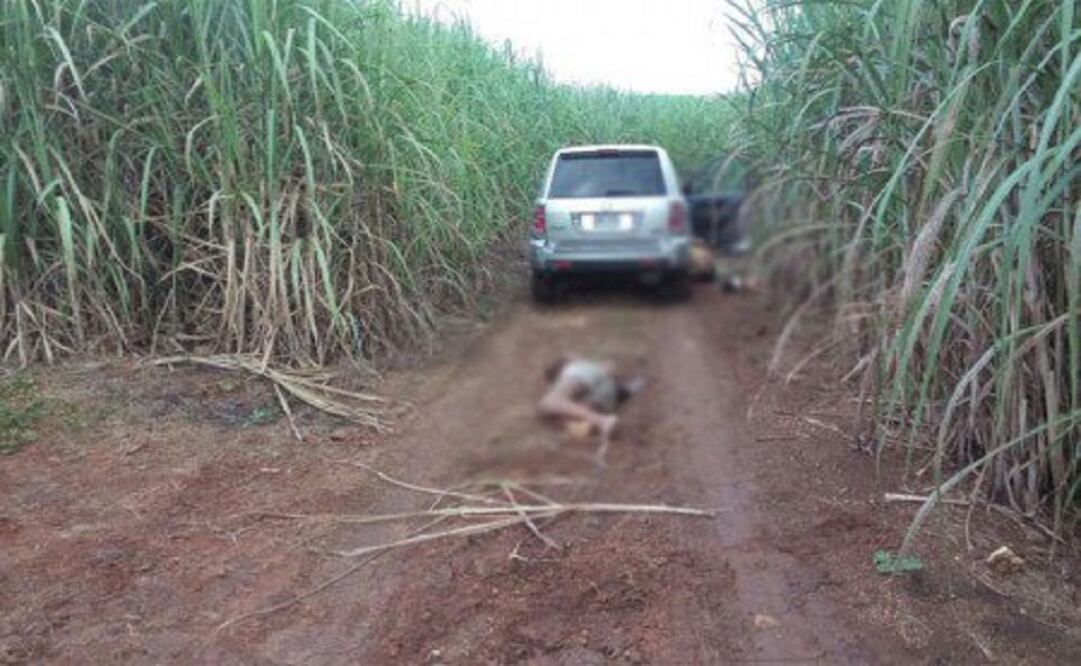 (Photo: Oaxaca's government)