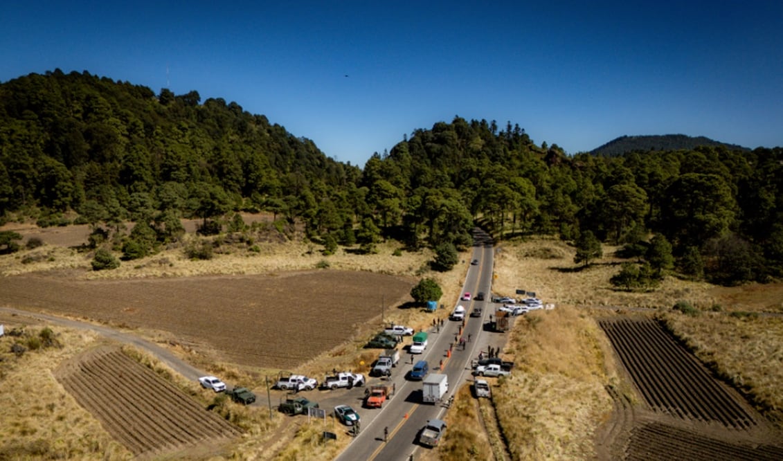 Denuncian tala ilegal en bosques de Atizapán. Foto: Archivo EL UNIVERSAL