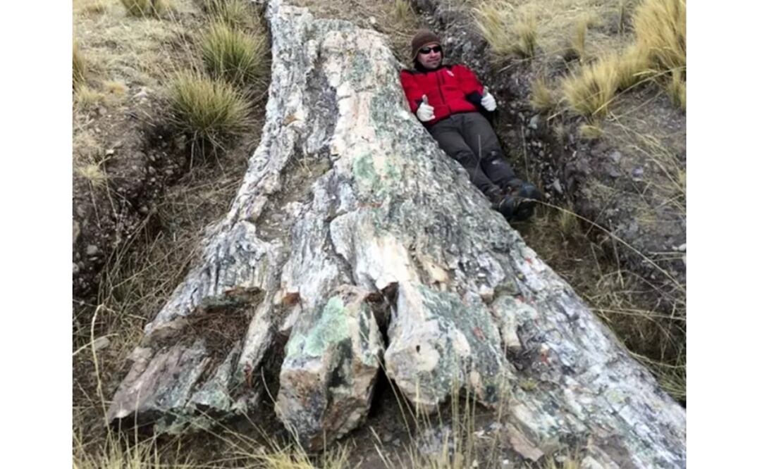 Foto: Carlos Jaramillo vía Europa Press