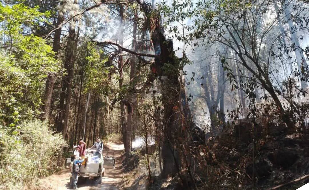 Incendio forestal en una parte de la zona de biosfera de la Mariposa Monarca. Foto: Especial