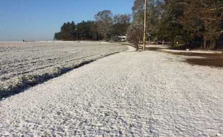 ​Florida se cubre de nieve a causa de las bajas temperaturas