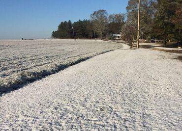 Florida se cubre de nieve a causa de las bajas temperaturas