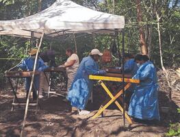 Buscadoras en SLP hallaron “campos de exterminio” en 2024; sufrieron 3 ataques directos