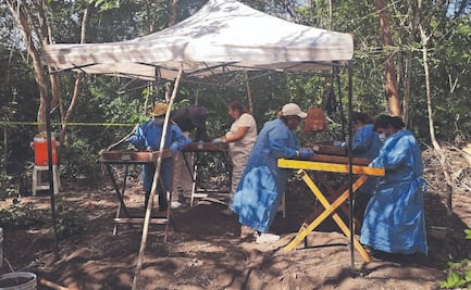 Buscadoras en SLP hallaron “campos de exterminio” en 2024; sufrieron 3 ataques directos