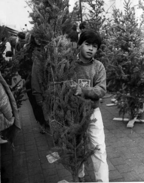 El árbol pagano que conquistó la Navidad