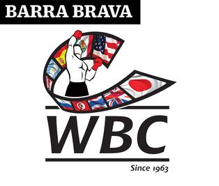 ‘La Academia’ del CMB