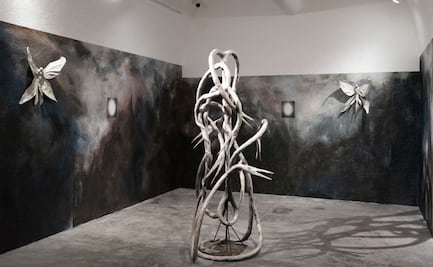 Instalaciones de arte en el MARCO cuestionan los límites del tiempo y el espacio