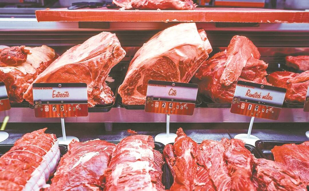 En el caso de los productos cárnicos, sobre todo "Escherichia coli", es un agente infeccioso por definición. Foto: ESPECIAL