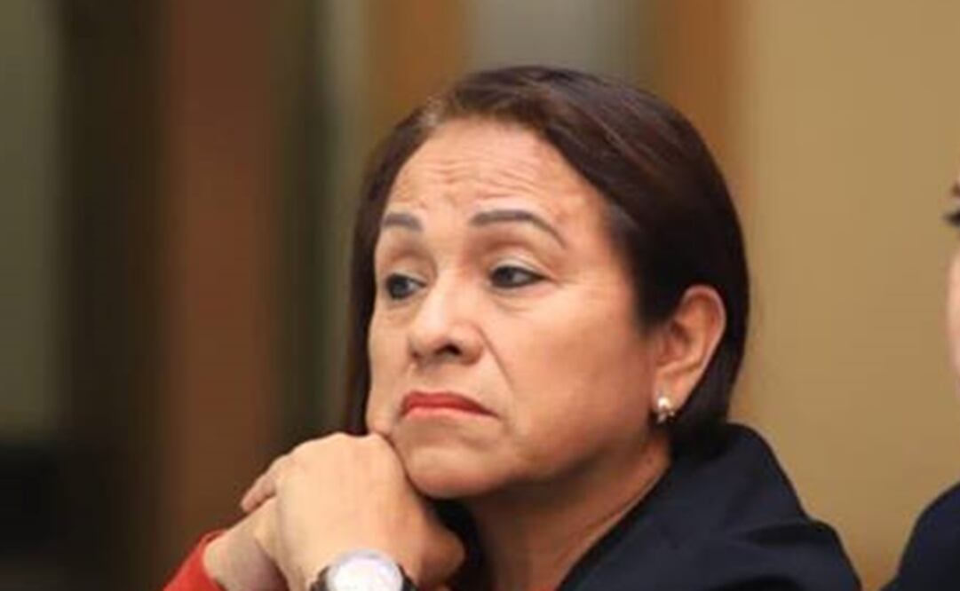 La diputada de Morena, Carmen Medel Palma. Foto: Especial