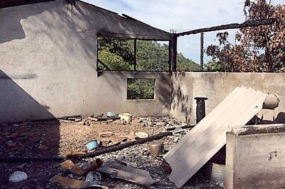 La 'guerra' por las maderas preciosas