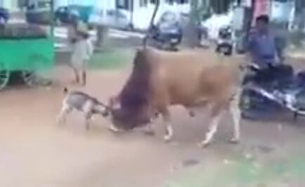 Beltrones ve a México-EU como un duelo chivo-buey