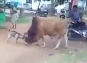 Beltrones ve a México-EU como un duelo chivo-buey