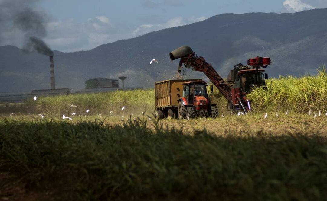 Depreciación pega a sector rural: Inegi