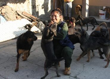 PAOT cierra caso de 55 perros rescatados en Lindavista