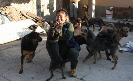 PAOT cierra caso de 55 perros rescatados en Lindavista