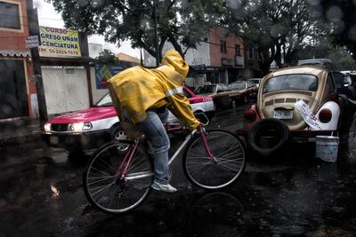 Lluvia causa árbol caído y afectaciones viales en CDMX
