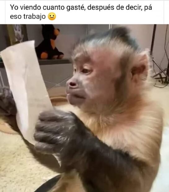 Recuento de los mejores y más divertidos memes que nos dejó el 2021